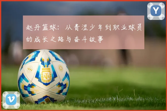 赵丹篮球：从青涩少年到职业球员的成长之路与奋斗故事