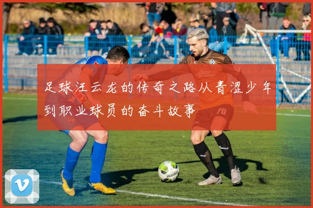 足球汪云龙的传奇之路从青涩少年到职业球员的奋斗故事