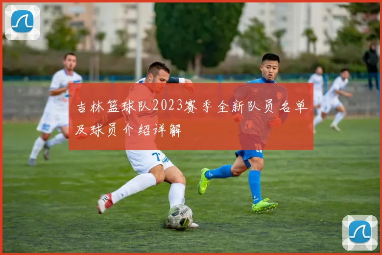 吉林篮球队2023赛季全新队员名单及球员介绍详解